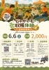 じゃがいも収穫体験