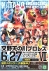 交野天の川プロレス