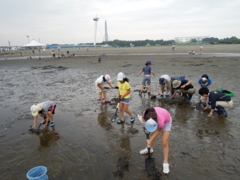 葛西臨海水族園 9月のイベント情報 まいぷれ江戸川区 おすすめイベント情報 まいぷれ 江戸川区