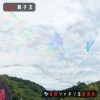 遊びシャボン玉 海南ハレアメ