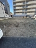 手入れされた庭／快適な空間実現「荒れたお庭・空き地の雑草もおまかせください！草刈り・整地のご相談承ります」