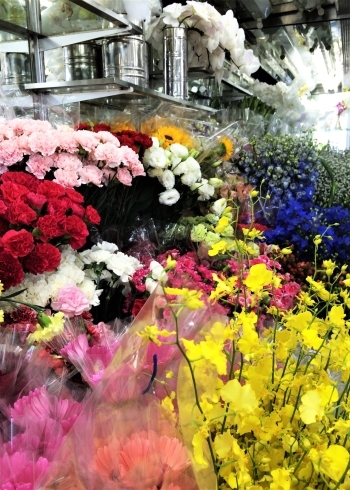 四季折々の花をご用意しております。「フラワーショップ花壇生花店」