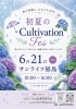 初夏のCultivation　Fes