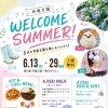 【京丹後市】WELCOME SUMMER！