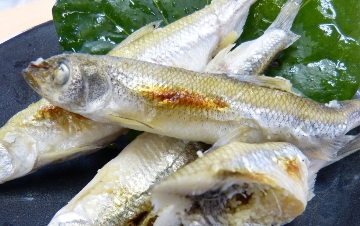 水揚げ後すぐ焼いた「焼きワカサギ」　食べる前に少し炙ると、香ばしさが食欲をそそります。