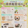 眺海の森 森林教室