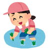 お米作りにチャレンジ   ～田植え～