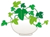 観葉植物と暮らすフェア