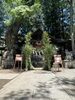 【諏訪市イベント】先宮神社　茅の輪くぐり／6月15日～6月30日