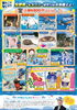 【7/18～7/20】あそべ～る水族館