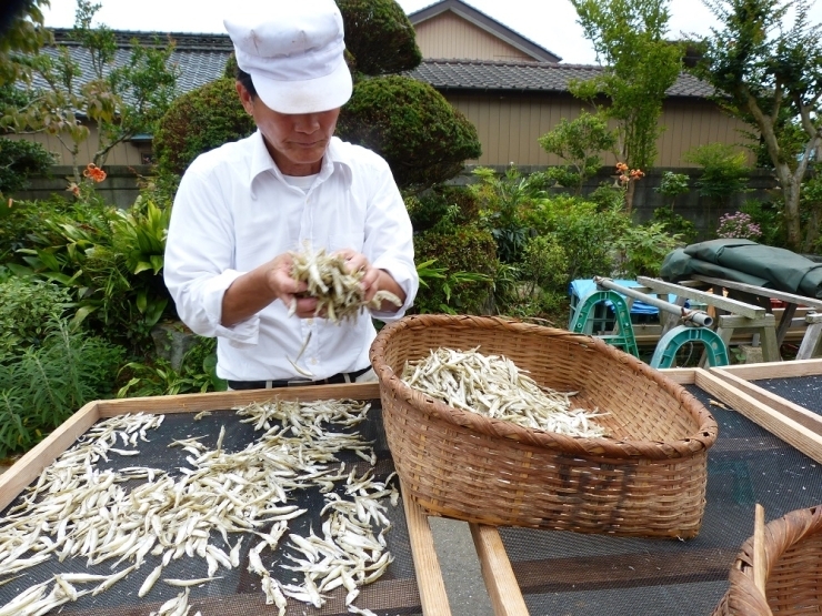 乾燥したワカサギをチェックしながらざるに入れます。<br>「味見してみな！」と差し出された煮干しは塩加減も良く、ホカホカご飯が欲しくなります！