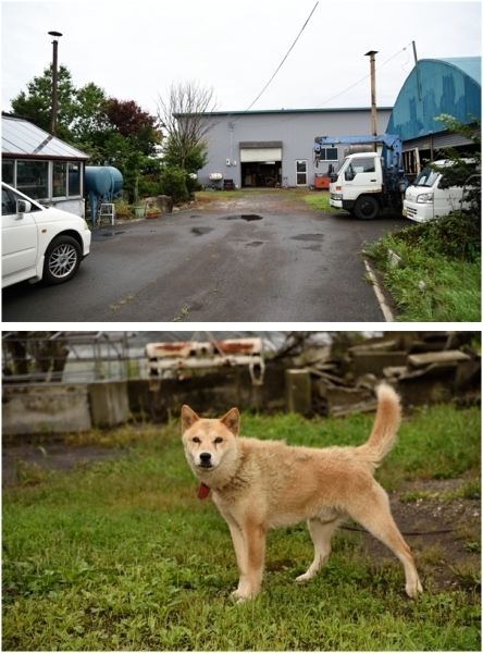 　　　　　　　　　　　作業場と愛犬