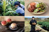 農家が主役のカフェ「VEGETABLE LIFE CAFE」