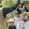 夏だ！ワクワク虫取りアドベンチャー