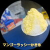 新田はらっぱ公園フリーマーケット（ASOBO会）