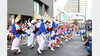 浦和まつり 第45回北浦和阿波おどり  （９月）