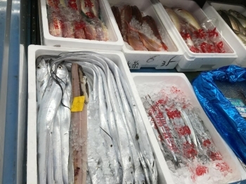 お寿司屋さんやホテルに届けている新鮮で大ぶりな魚介類を買うことができます。