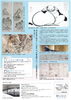 円山応挙と京都画壇