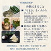発酵ワークショップ 笹の香りに包まれて。 新潟の郷土食「ちまき」づくり体験