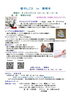 癒しごとin興禅寺