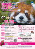 小布施バスツアー～茶臼山動物園レッサーパンダとホテルメトロポリタン長野ランチビュッフェ～