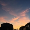 夏の空