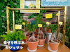 「暮らしに彩りを添えてくれる季節の花。南魚沼で長く愛される花屋、フローリストたかの。」