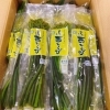 「2021年度産　「西わらびの水煮」の入荷始まってますよー♪♪ 」
