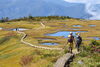 標高2145ｍ「日本百名山」苗場山登山　