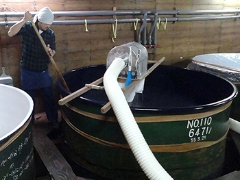 仕込みタンクに投入される蒸米の櫂（かい）入れの様子。<br>櫂と呼ばれる長い棒でかき混ぜています