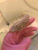 風呂釜 追い焚き配管 は何故汚れるの 風呂釜洗浄専門店 Thumb Always サム オールウェイズ のニュース まいぷれ 朝霞 志木 新座 和光
