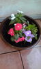 「花の植え替えをしましたぁo(^-^)o」