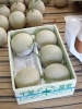 モリタ農園】最高級！純系マスクメロン（化粧箱入）1玉・2玉・定期便