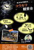 【9/24】コウモリ観察会