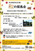 秋の探鳥会