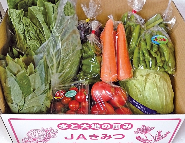 こちらは、7,000円以上の寄附でもらえる「野菜詰合せBOX」。※内容は季節によって変わります