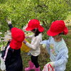 「地元の小学生が梅もぎ体験にやってきました！」