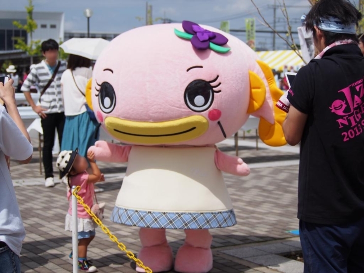 なまりんも遊びにきていました。花菖蒲バージョンのなまりんもかわいい☆