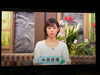 スタジオからの中西リポーター🎤「☆カラフル野菜の小山農園『サンデーモーニング』無事にオンエア📺☆」