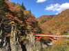 カヤの平高原から秋山郷へ50km紅葉ドライブ