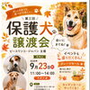 第三回　保護犬譲渡会
