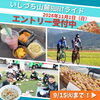 【11/1】いしづち山麓SWEETライド （※9/15締切）
