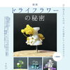 個展「ドライフラワーの秘密」