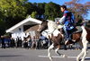 種生神社秋祭　御渡り