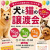 合同譲渡会＆チャリティーマルシェ