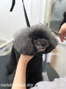 ん？　写真撮るんですか♡「秋のオプションキャンペーン　（＾_＾）」
