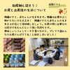 後期(助産師との話)「プレママスクール９月　妊婦さんの集い　医療法人社団成和会 山口病院」