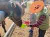 馬への餌やり「あかとんぼでのおでかけ☆しおのえふじかわ牧場へ遊びに行ったよ！《子どもたちのお困り事を解決！高松市の児童発達支援・放課後等デイサービス》」