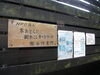 「ＮＰＯ法人「京おとくに・街おこしネットワーク」による陽光桜の植樹会が柳谷観音周辺で行われました。」