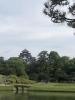 イギリスも素敵だけど 日本も負けてない素晴らしさ「久々！旅に出ました〜我が家の猫の留守番事情は？猫ちゃんのお留守番はお家が1番安心です。」